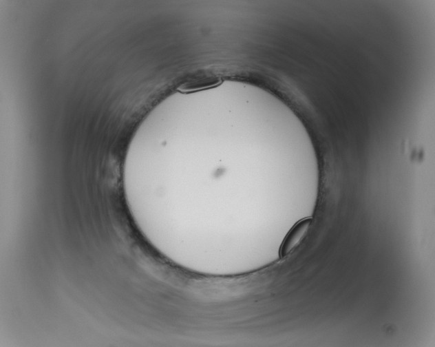 X0000113180025200909251453