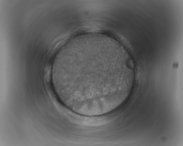 X0000113180026200909251453