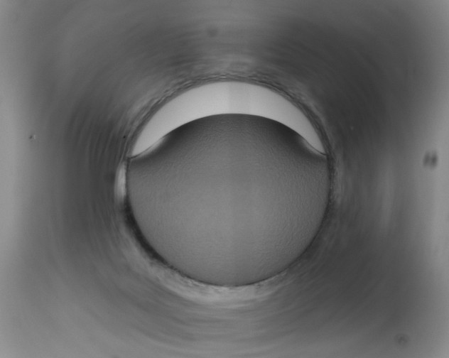 X0000113180027200909251453