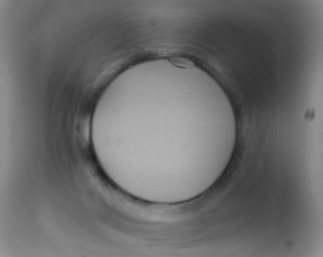 X0000113180028200909251453