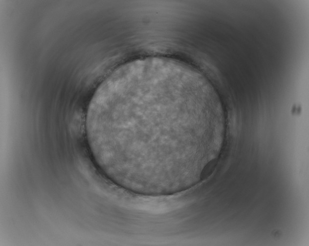 X0000113180029200909251453