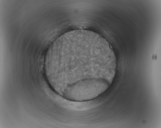 X0000113180030200909251453