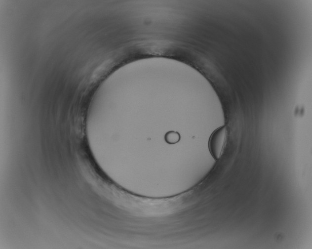 X0000113180031200909251453