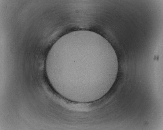 X0000113180032200909251453