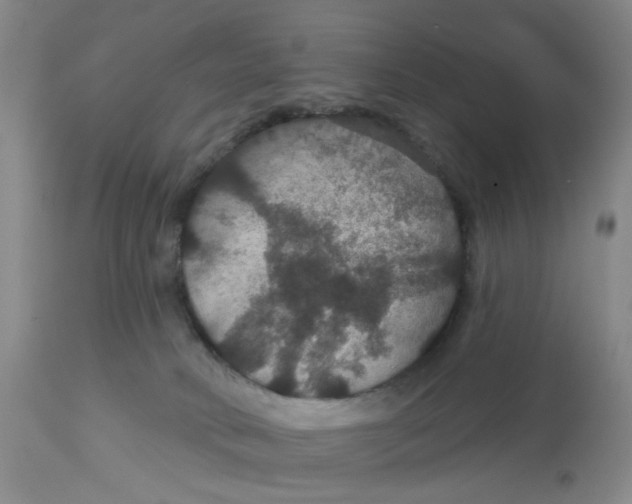 X0000113180034200909251453