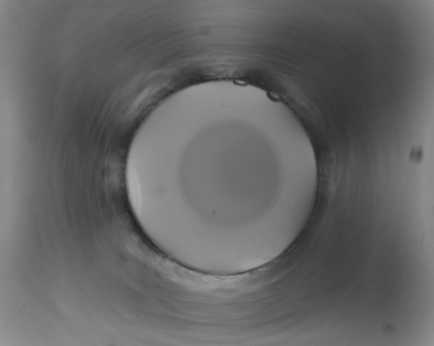 X0000113180035200909251453