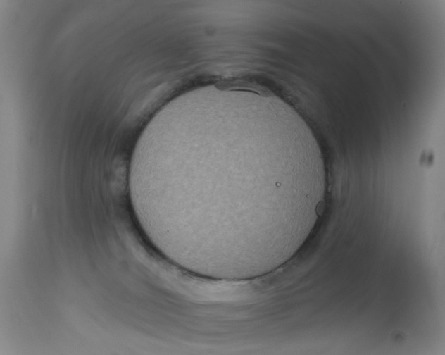 X0000113180036200909251453