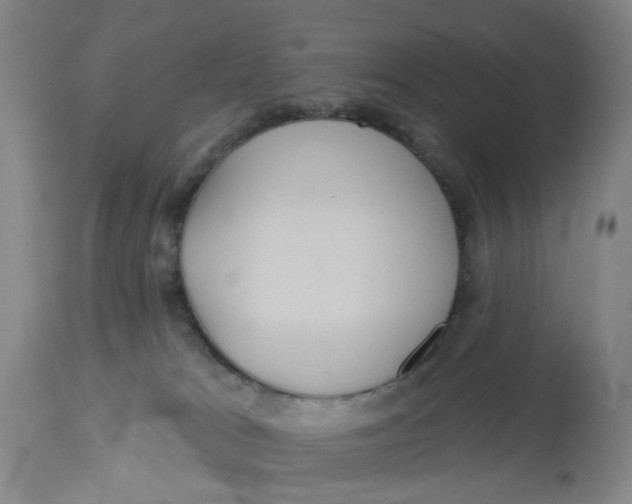 X0000113180037200909251453