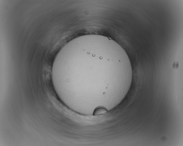 X0000113180038200909251453