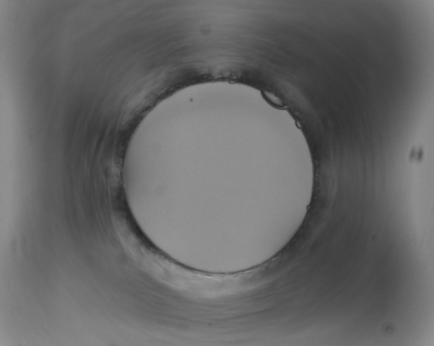 X0000113180039200909251453