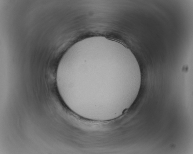 X0000113180040200909251453