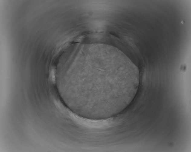 X0000113180042200909251453