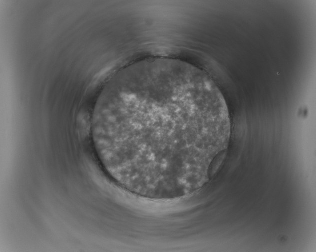 X0000113180043200909251453