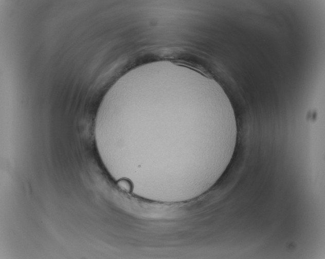 X0000113180044200909251453