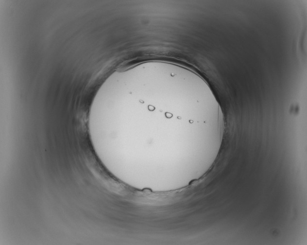 X0000113180045200909251453