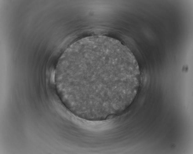 X0000113180046200909251453