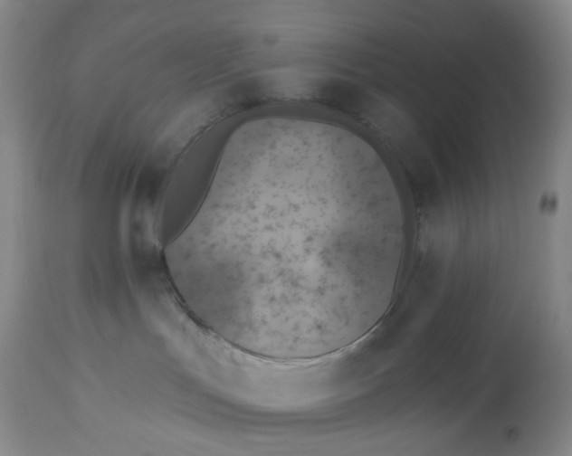 X0000113180047200909251453