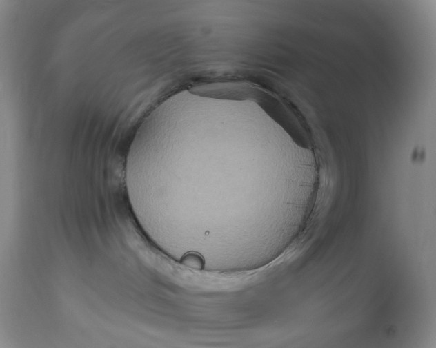 X0000113180048200909251453