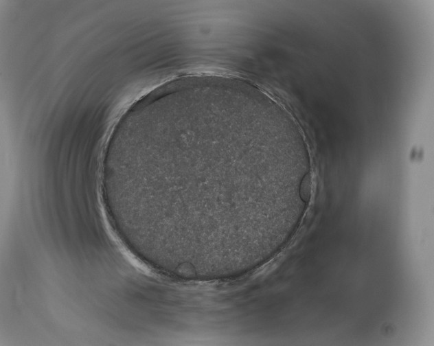 X0000113180049200909251452