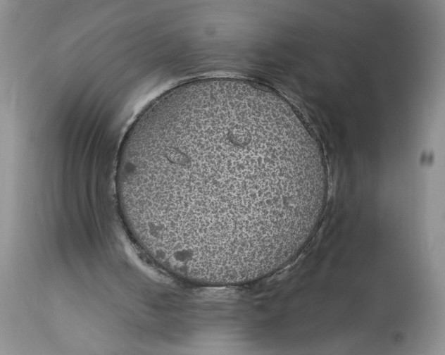X0000113180050200909251452