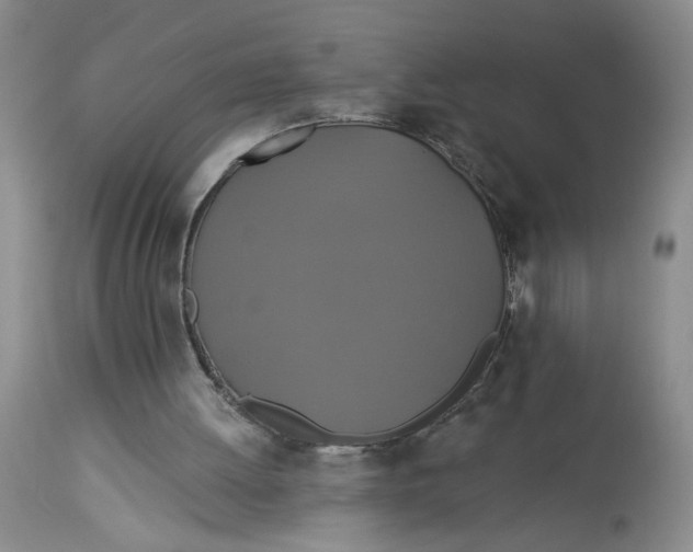 X0000113180052200909251452