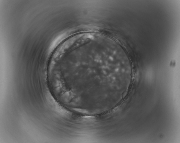 X0000113180053200909251452