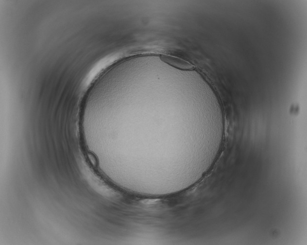 X0000113180054200909251452