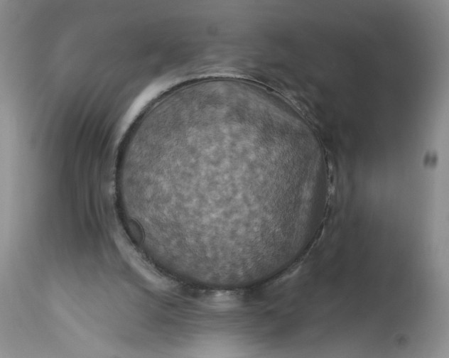 X0000113180056200909251452
