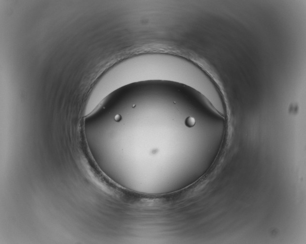 X0000113180057200909251452