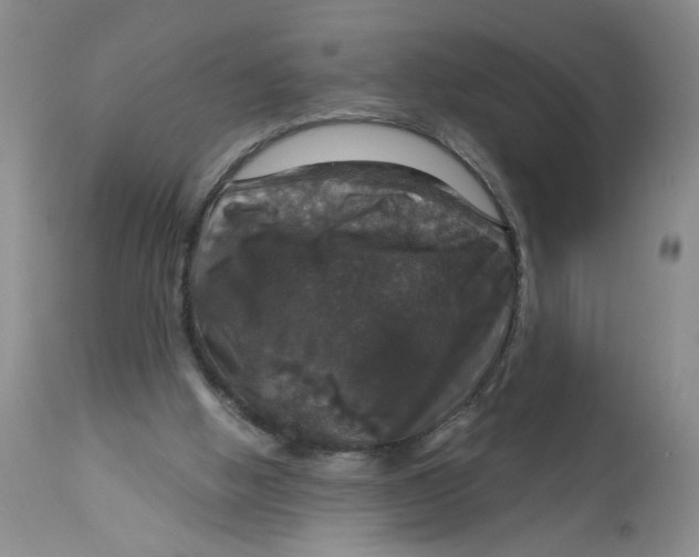 X0000113180058200909251452