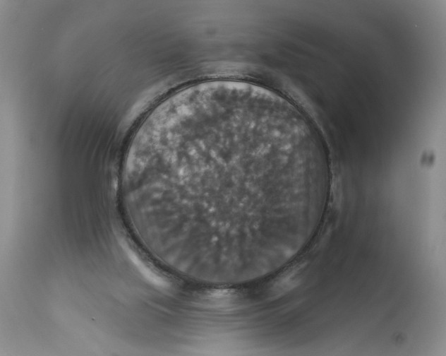 X0000113180059200909251452