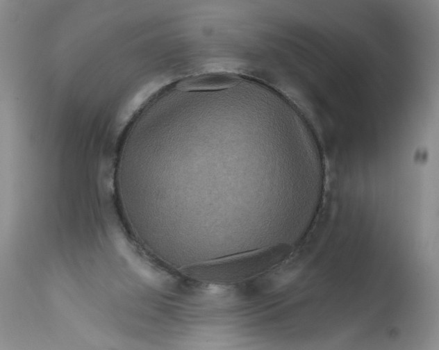 X0000113180060200909251452