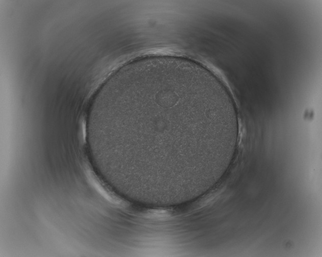 X0000113180061200909251452