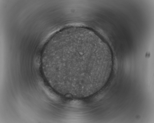 X0000113180063200909251452