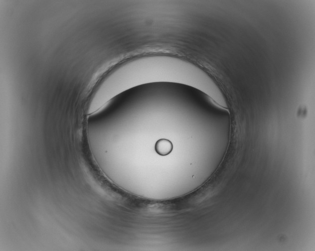 X0000113180064200909251452