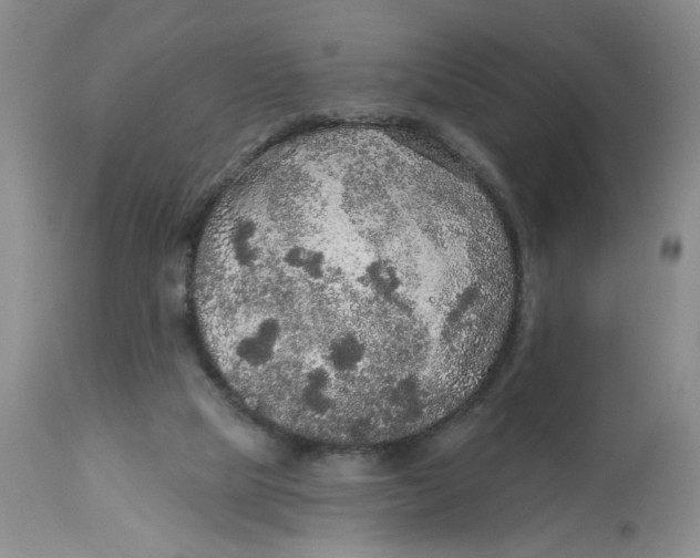 X0000113180065200909251452