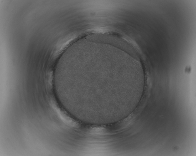 X0000113180066200909251452