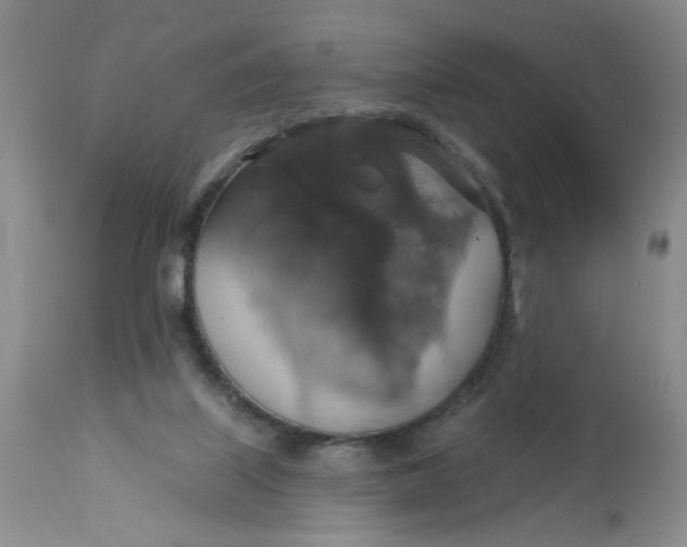 X0000113180067200909251452