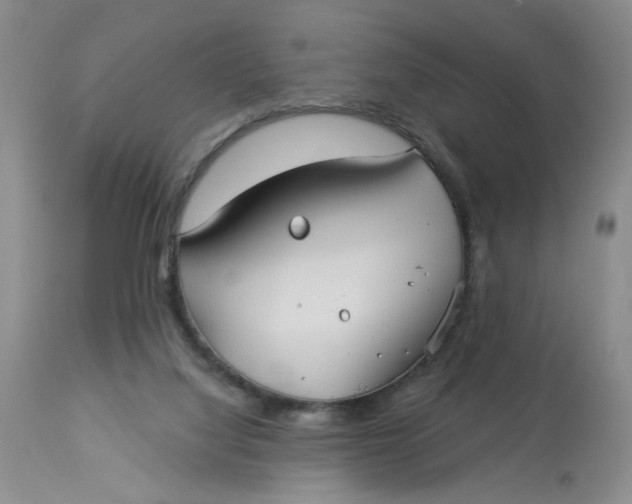 X0000113180068200909251452