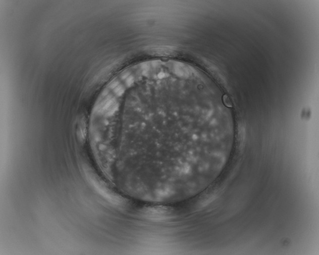 X0000113180069200909251452
