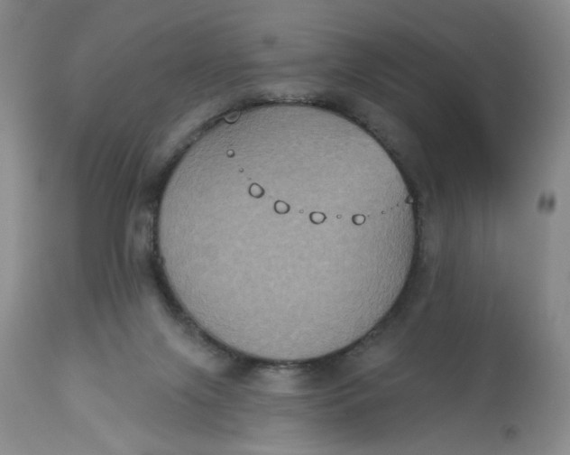 X0000113180071200909251452