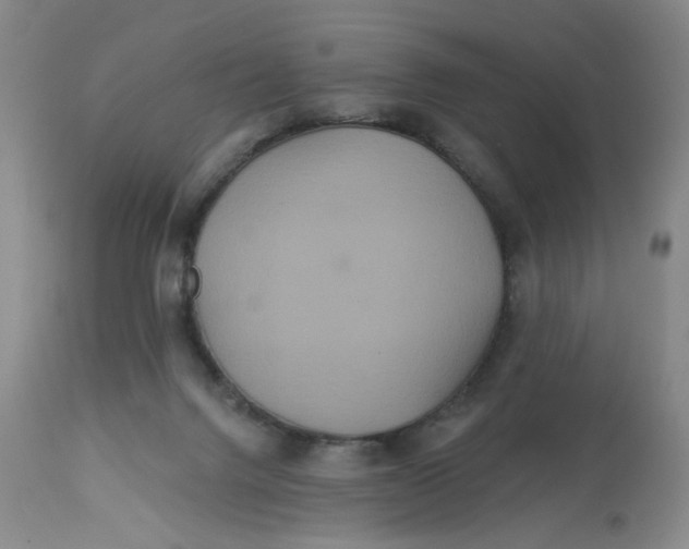 X0000113180072200909251452