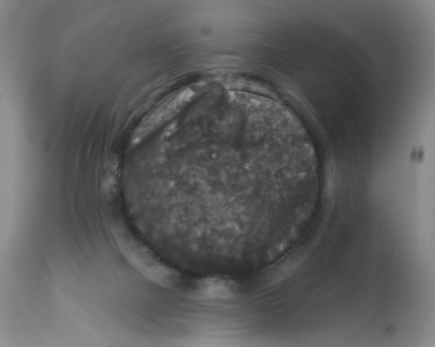 X0000113180073200909251452