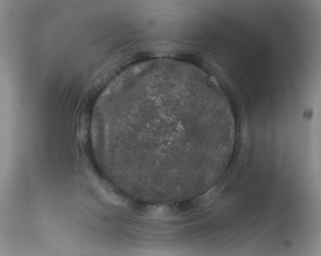 X0000113180074200909251452