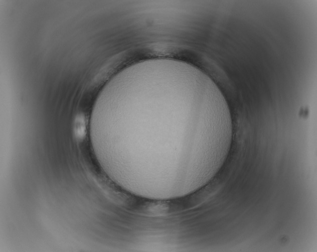 X0000113180075200909251452