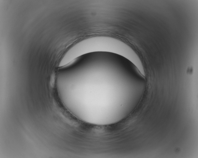 X0000113180076200909251452