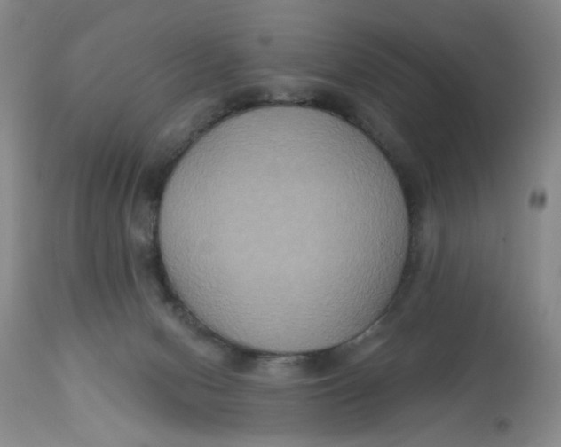 X0000113180078200909251452