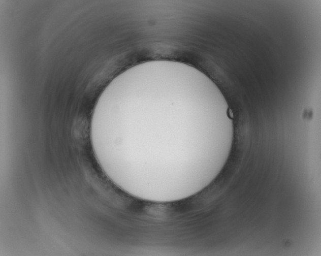 X0000113180079200909251452