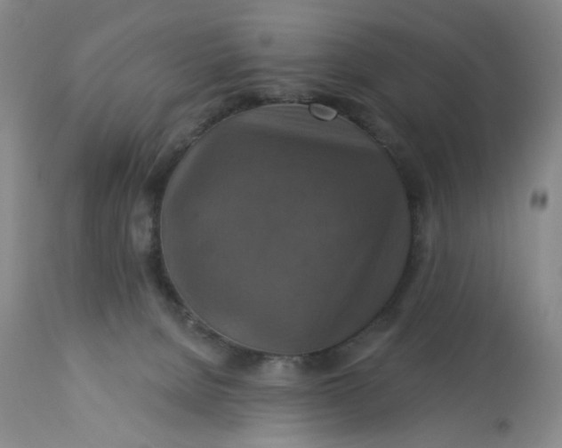 X0000113180080200909251452