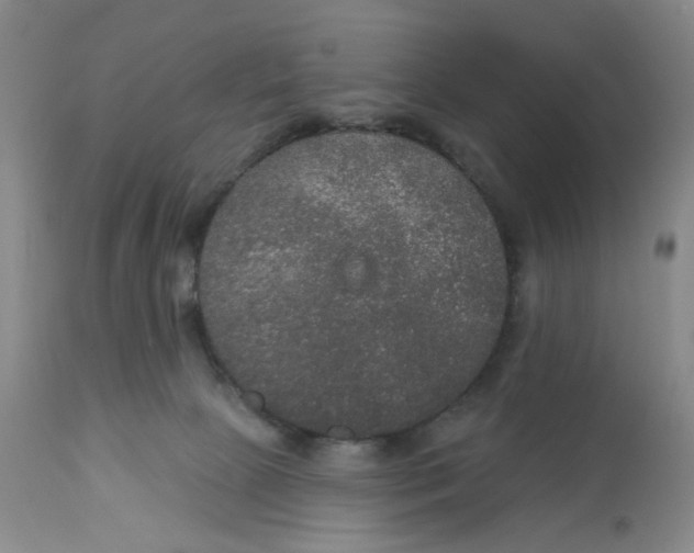 X0000113180081200909251452
